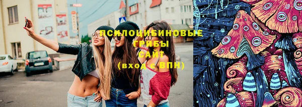 спиды Аркадак