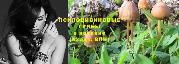 стаф Алексеевка