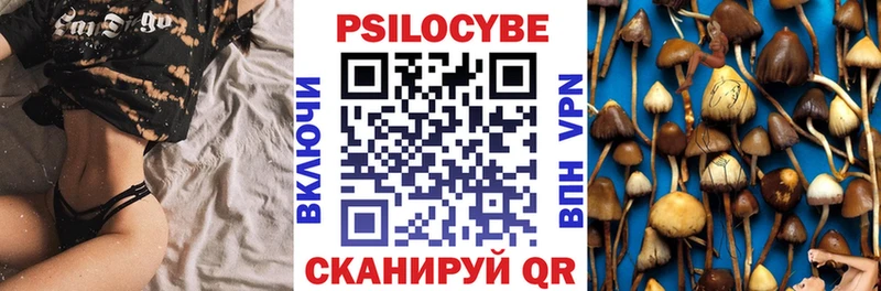 Галлюциногенные грибы Psilocybine cubensis  Армянск 